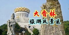 女污网站免费进入中国浙江-绍兴大香林旅游风景区